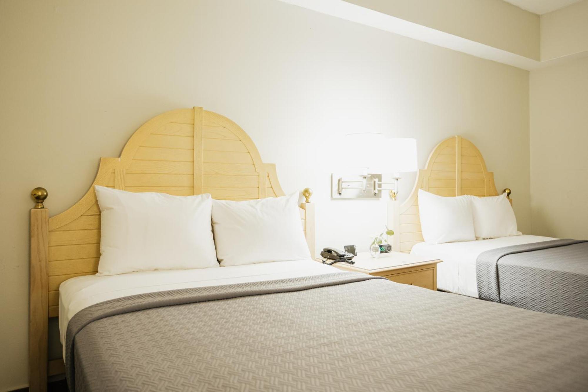 Hotel Parque Central Monterrey Ngoại thất bức ảnh